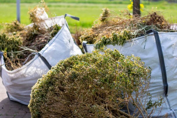 Best Shed Removal  in Roessleville, NY