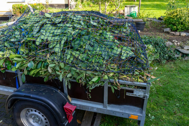 Best Recycling Services for Junk  in Roessleville, NY